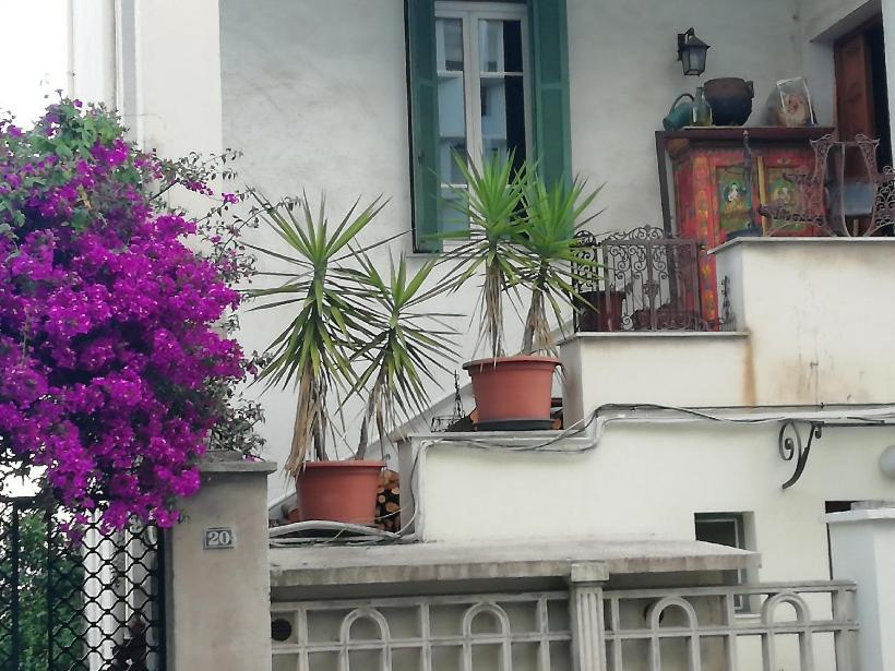 Villa Cecile أجاكسيو المظهر الخارجي الصورة